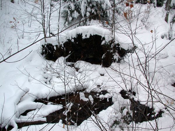 Scenery around the Cabin.