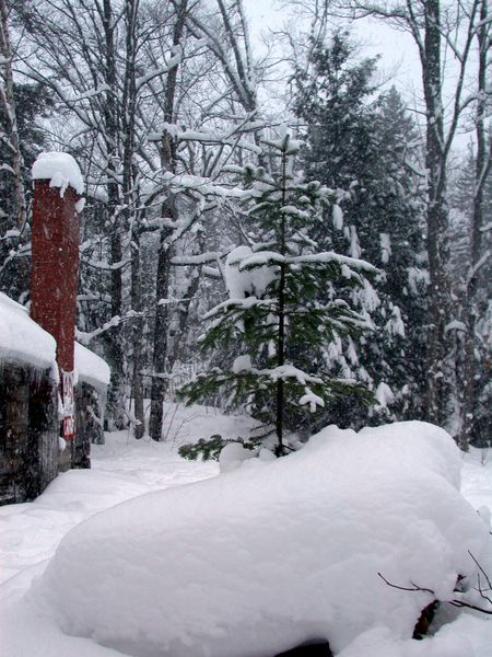 Ready for our last snowshoeing trip.