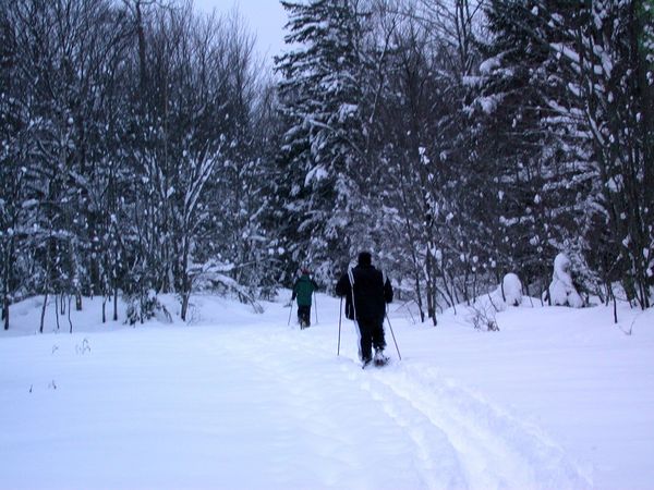 Bill and Jon snowshoeing.