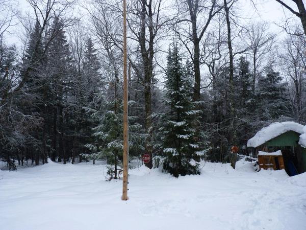 Scenery near the Cabin after a light snowfall.