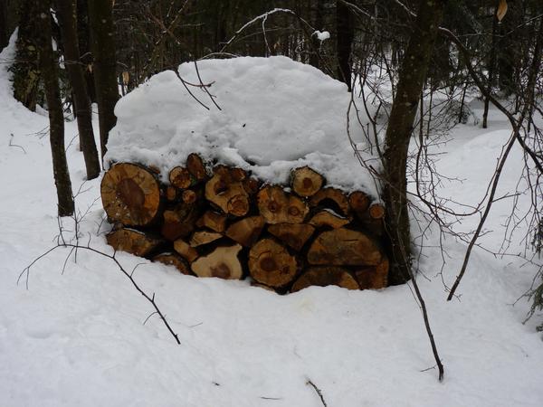 "Mikey's" log pile. Ready for further processing.
