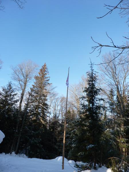Flag flying on a clear day.