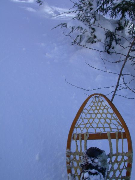 My old style snowshoe that was great for walking in the deep, powdery snow.