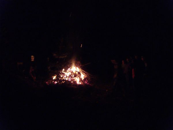 Burning the stump.