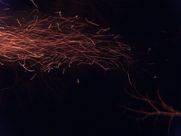 Sparks from the burning stump.