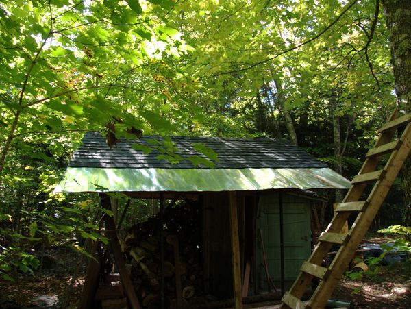 New wood shed roof.