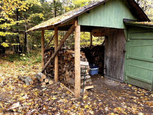 Woodshed filled with newly delivered wood.