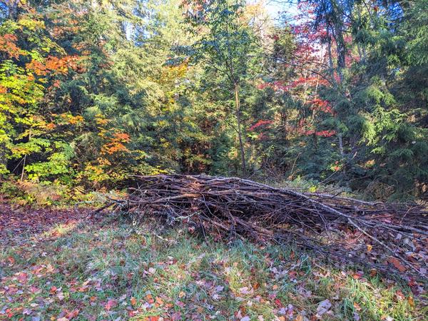 Brush pile waiting to be burned.