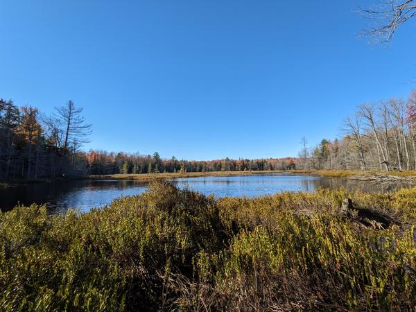 Lake in the woods (west of North lake).