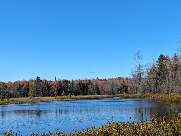 Lake in the woods (west of North lake).