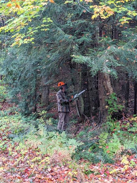 Bill cleaning up some deadwood around the Cabin.