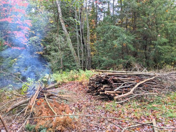 Burning the brush pile.