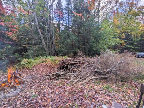 More burning of the brush pile.