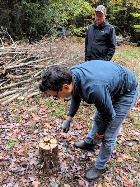 Mikey and Bill watching the Swedish log burn.