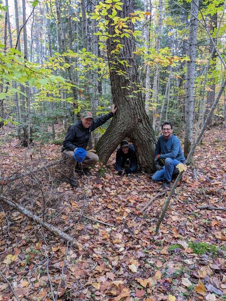 Bill, Andy, and Mikey at a tree found in the woods near the Cabin.