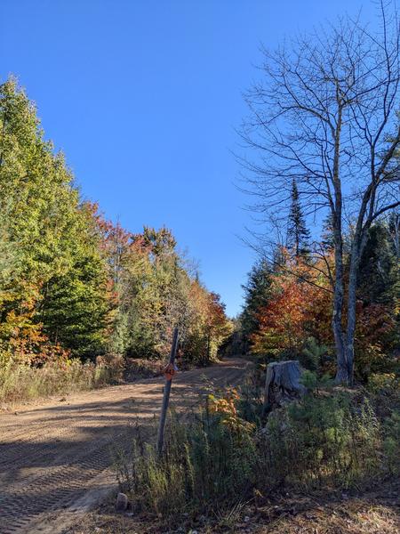 McCloud Grade near the fork.