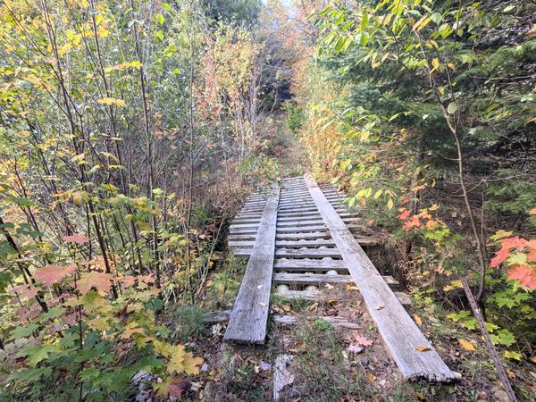 Bridge over Harvey Creek.