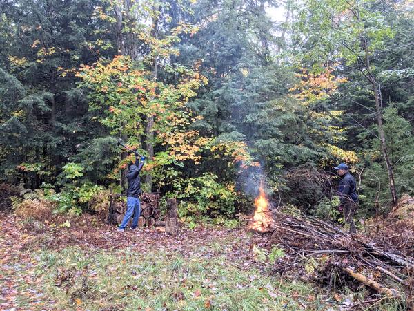 Arthur splitting wood from the downed tree limb.