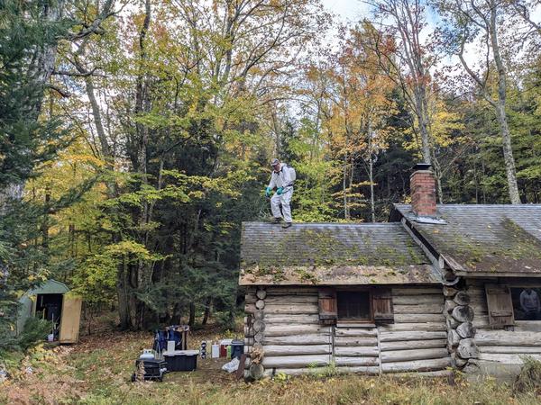 Bill spraying the moss on the roof of the Cabin.