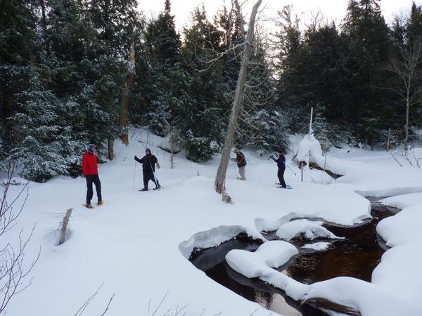 Snowshoeing near the old beaver dam on "the loop".