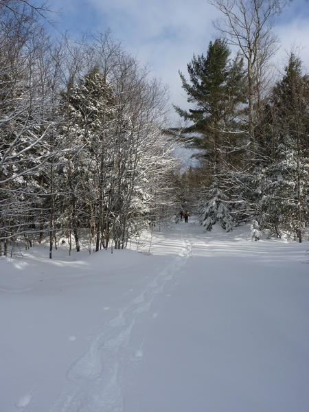 The trail back from the snowshoeing expedition.