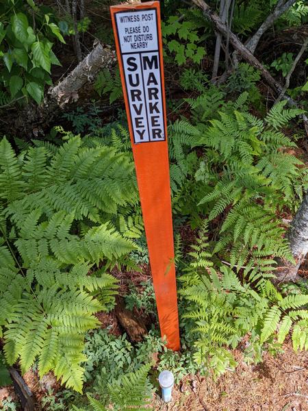 Survey marker at the end of McCloud Grade.