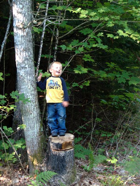 Frakie proudly standing on a stump.