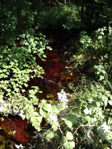 Small river that caused the washout (notice the reddish
		  color).