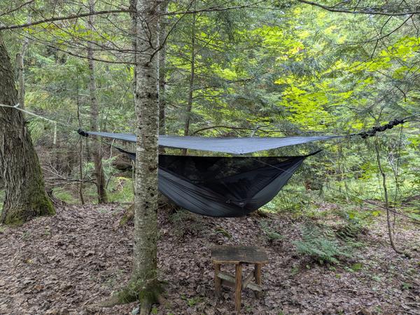Hammock set up in its usual place near the creek.
