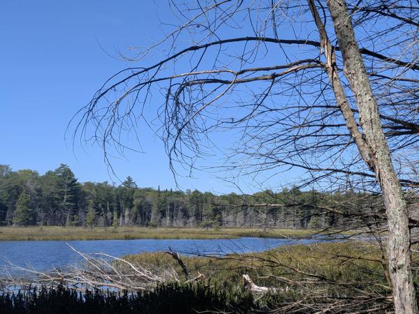 Unnamed lake east of North Lake.