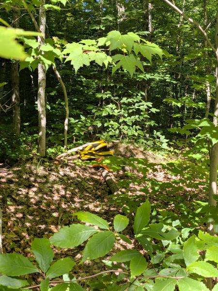 Discarded 443 sign in the woods, well away from 443.