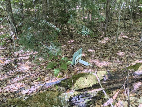 Old seat abandoned in the woods.