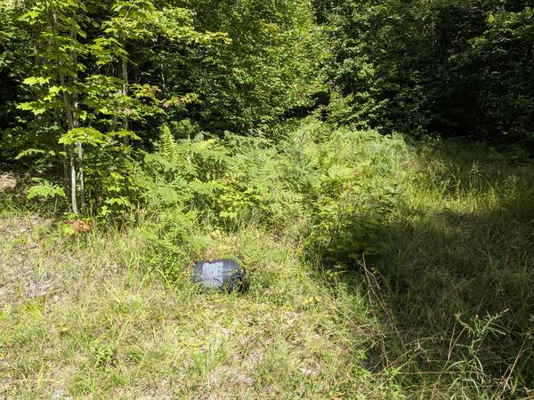 Plastic 5 gallon bucket abandoned in the woods.
