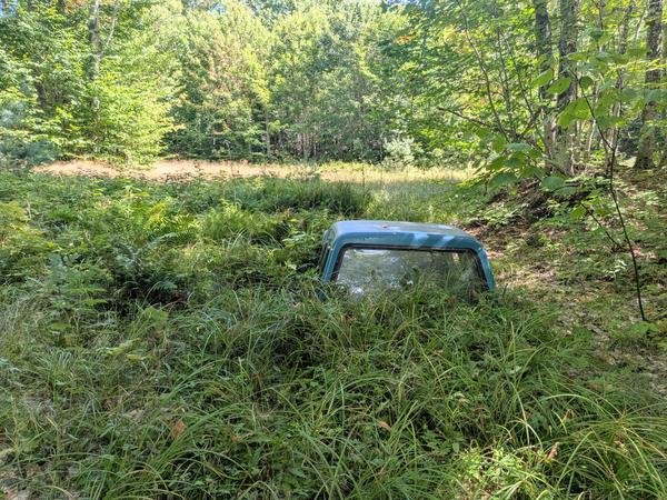 Old pickup truck cap abandoned in the woods.