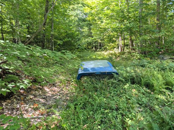 Old pickup truck cap abandoned in the woods.