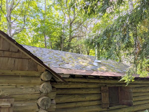 Other side of the bunk house roof showing how much moss accumulates.