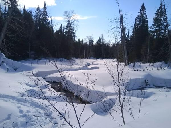 What used to be the beaver pond along the loop while snowshoeing.