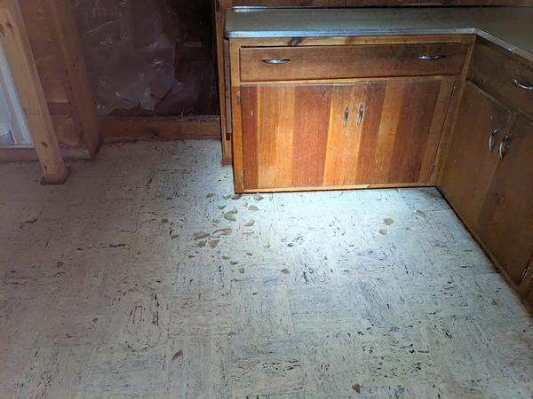 Broken glass bottle on the kitchen floor.