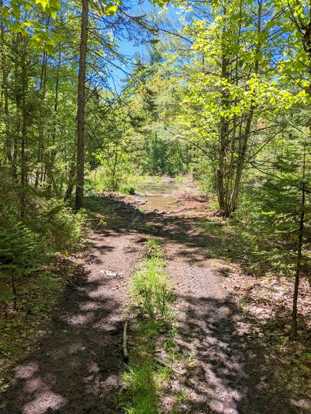 Road to Barfield Lake.