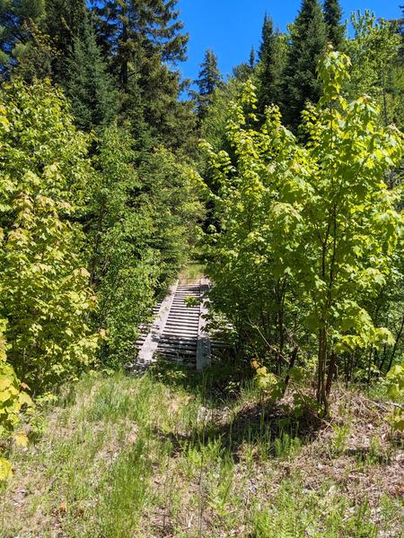 Bridge over Harvey Creek.