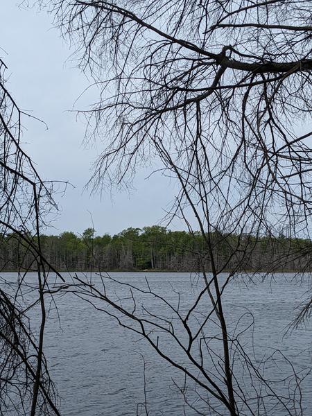 The camp on Mitchell Lake as seen from the opposite shore. (There are actually people there in the picture.)