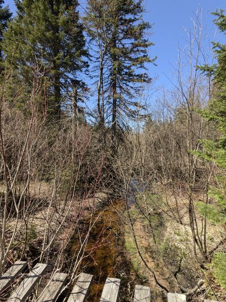 View of Harvey Creek from the old bridge.