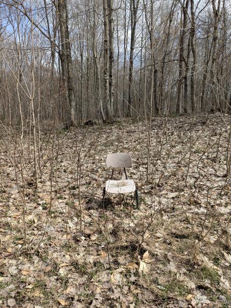 A chair in the woods.
