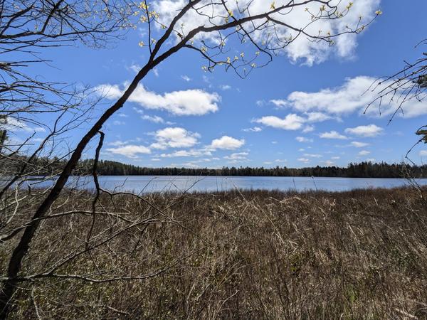 Sullivan Lake.