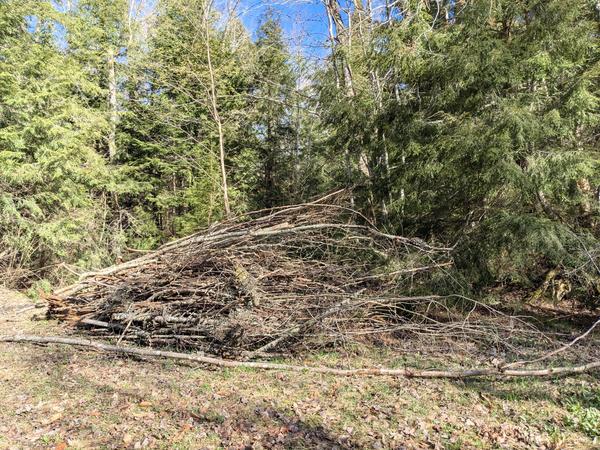 Final state of the brush pile.
