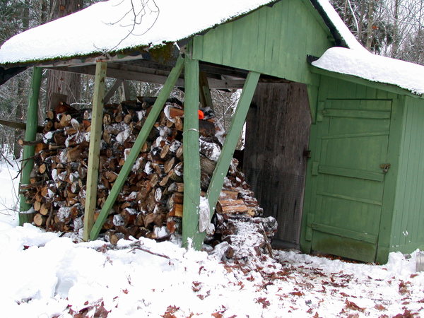 All the newly delivered wood stacked for drying/storage.