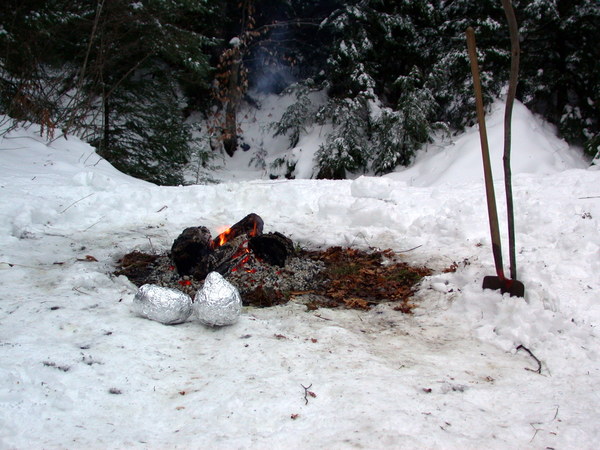 Coals from the fire with the squash ready to be cooked.