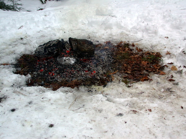 Squash buried in the coals.