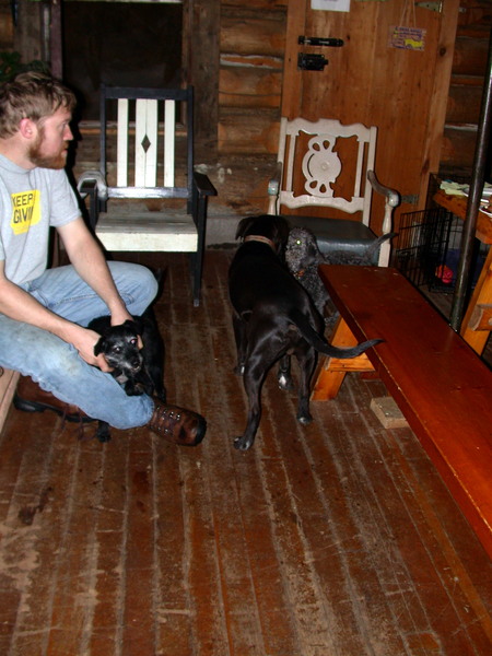 Bill with Scozi while Dog and Finnegan play.