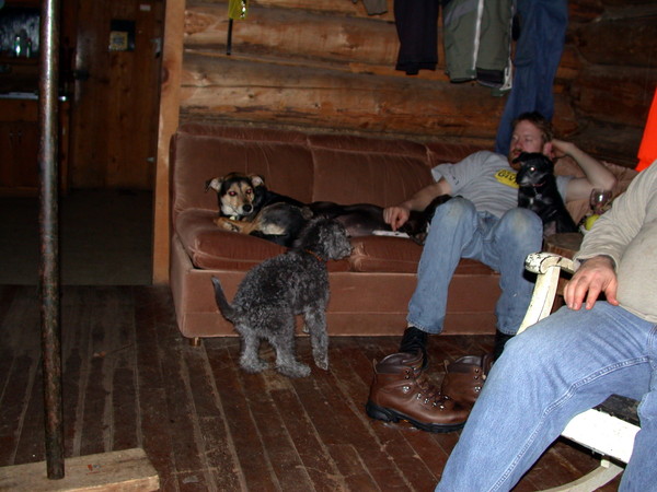 Bill with Scozi, Abby, and Finnegan after dinner.